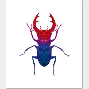 STAGBEETLE Posters and Art